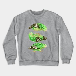 Three Kakapo Crewneck Sweatshirt